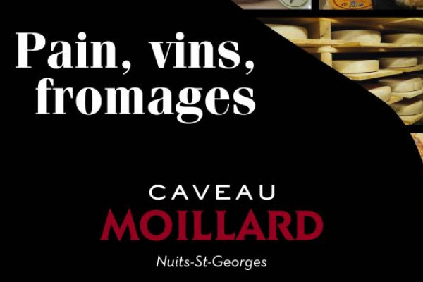 Dégustation Pain Vins Fromages en Bourgogne