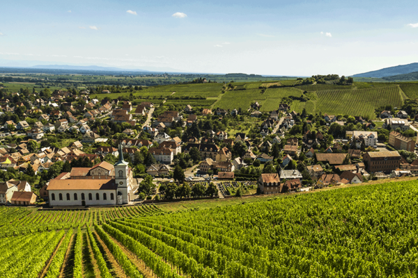 Trois stops pour découvrir les vins d’Alsace à moins de 100 km de Strasbourg