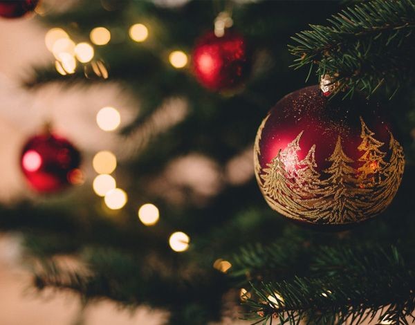 Découverte des saveurs de Noël