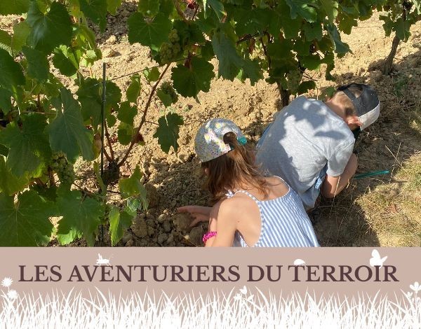 Les aventuriers du terroir