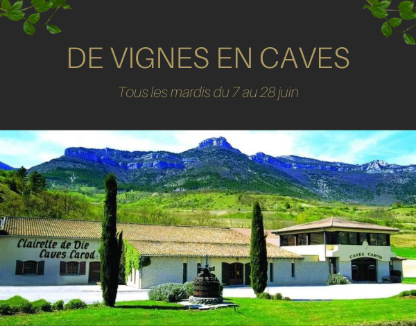 Journées De Vignes en Caves