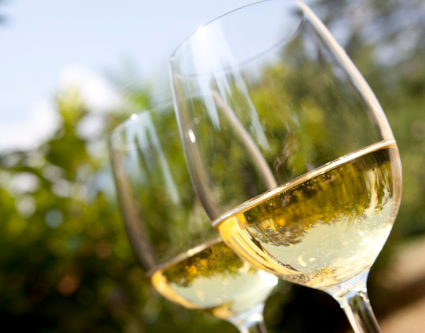 Atelier vins blancs et effervescents de Loire