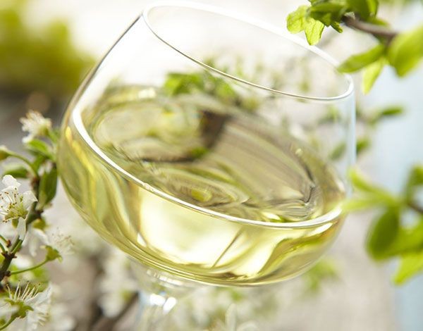 Terroirs et cépages d'Alsace