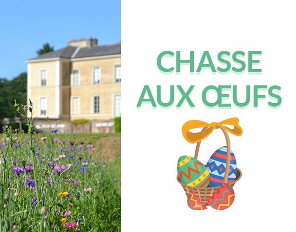 Chasse aux œufs