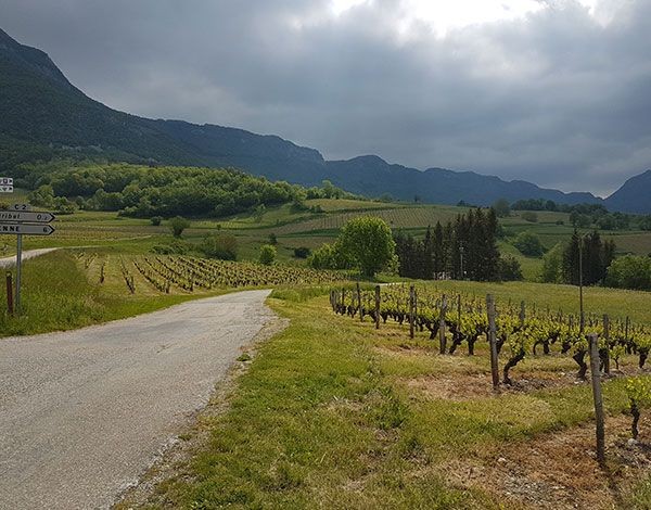 Les Vins de Montagne