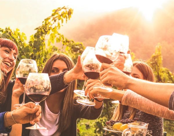 Un jour chez le vigneron