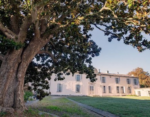 Dîner dans le chai à barrique au Château