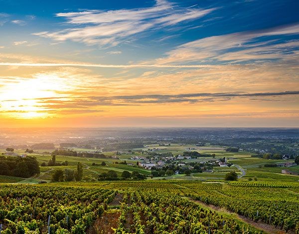 Découverte du Beaujolais