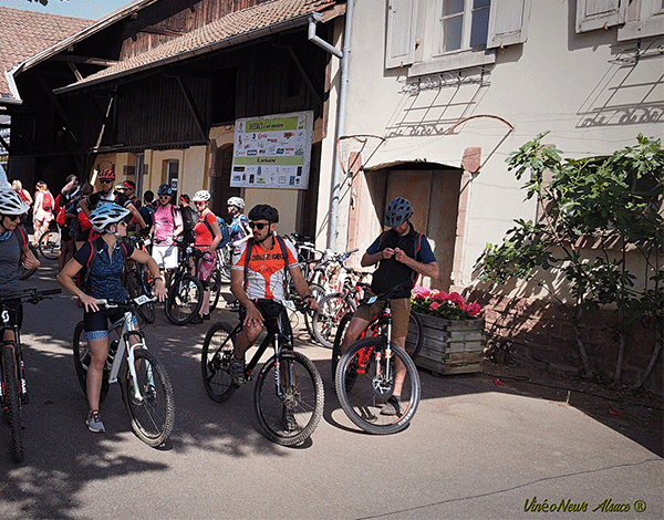 Vélo Vino Tour