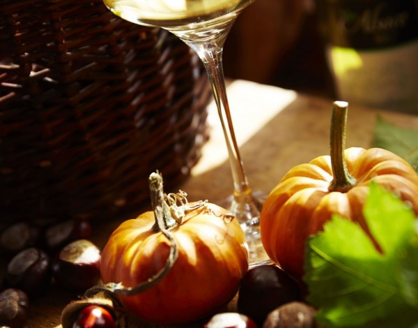 Afterweek - Vins et saveurs automnales