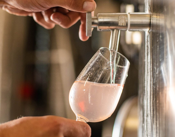 Dégustation brut de cuve